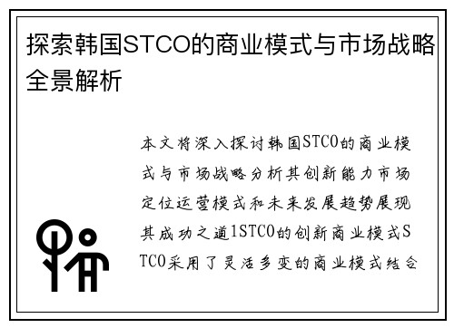 探索韩国STCO的商业模式与市场战略全景解析